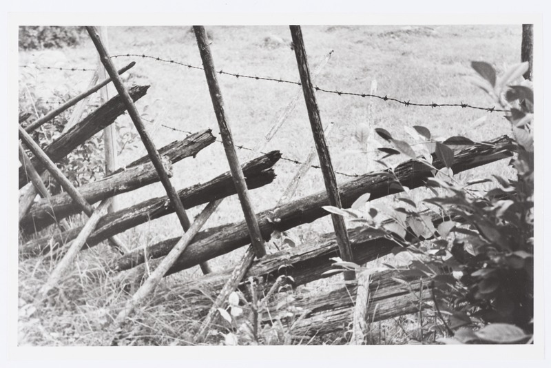 Soeselgaed Raadiku talus Sigula külas.