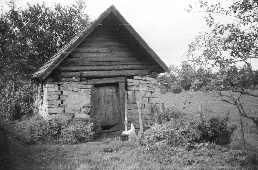 Masu talu suveköök  Langakülas