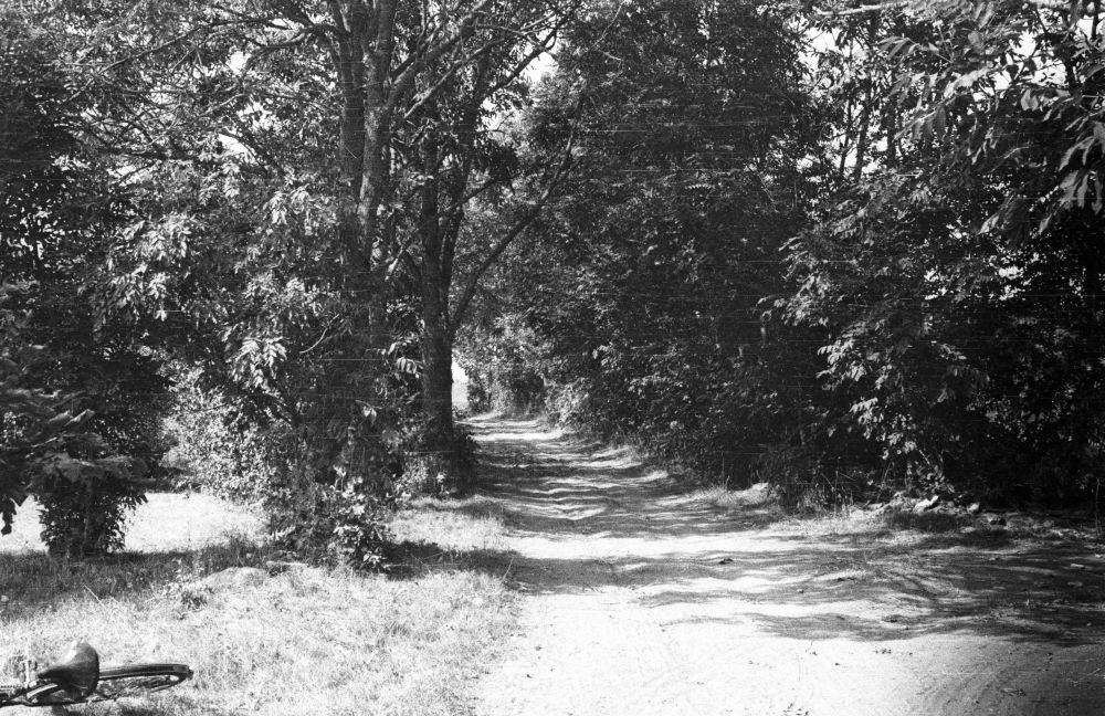 Külavahetee Pehka külas