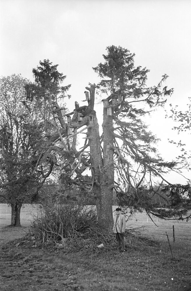 Restauraator J.Lepp Kalamatsu talus Allika külas