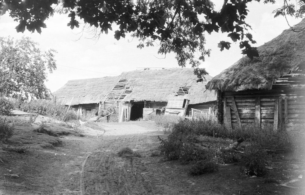 Vanaveski talu õuevaade, Kursi küla.