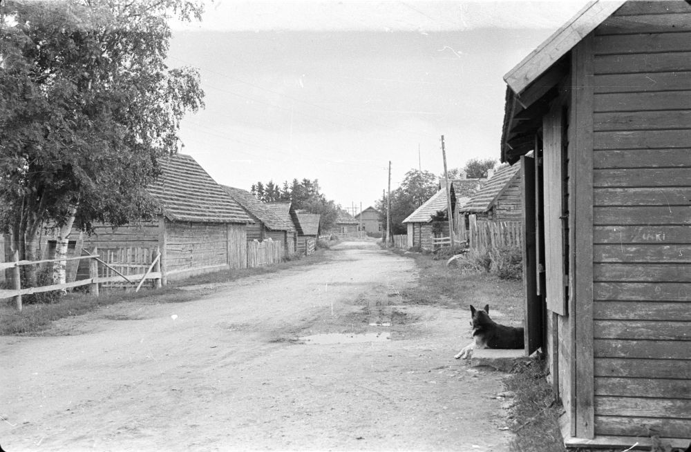 Pärispea külatänav.