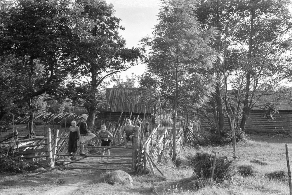 Vanaõue talu värav Suurpea külas.