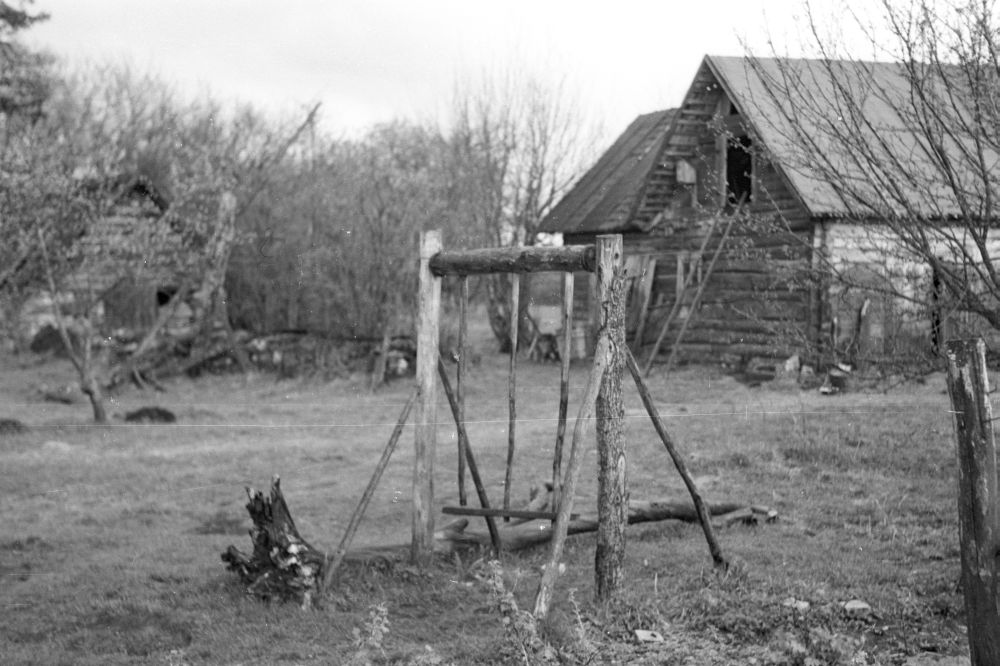 Kiik Villemi talu õuel.