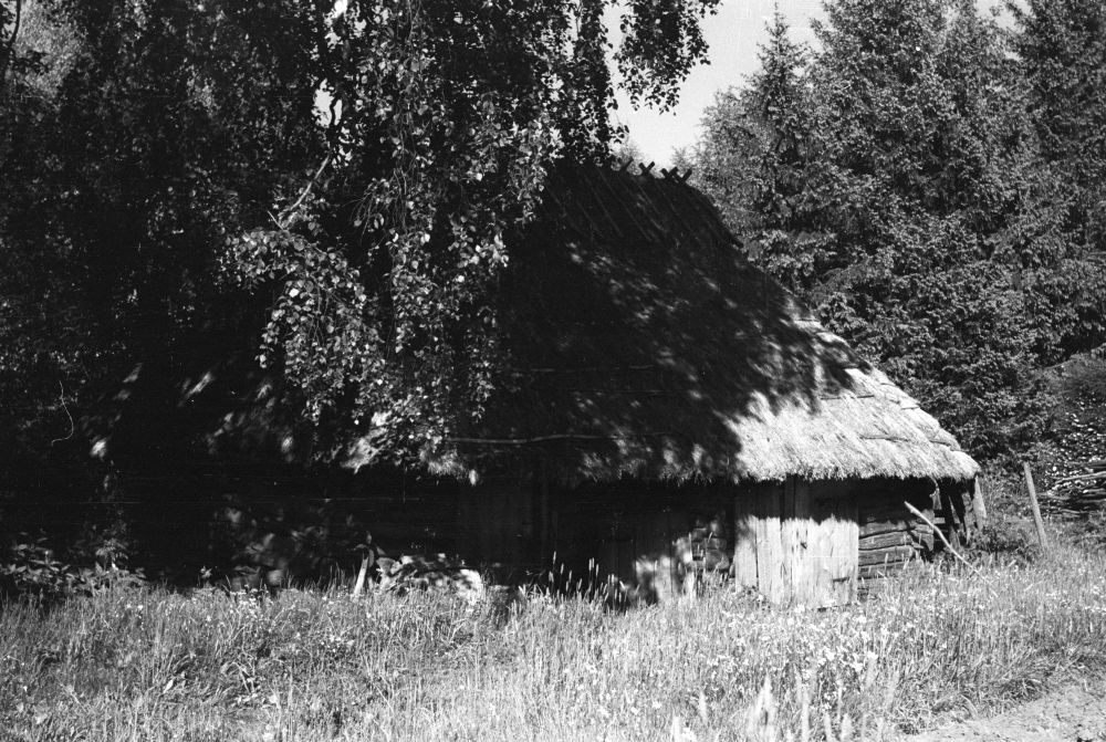Kaasiku talu ait Tõnumaa külas, eestvaade.