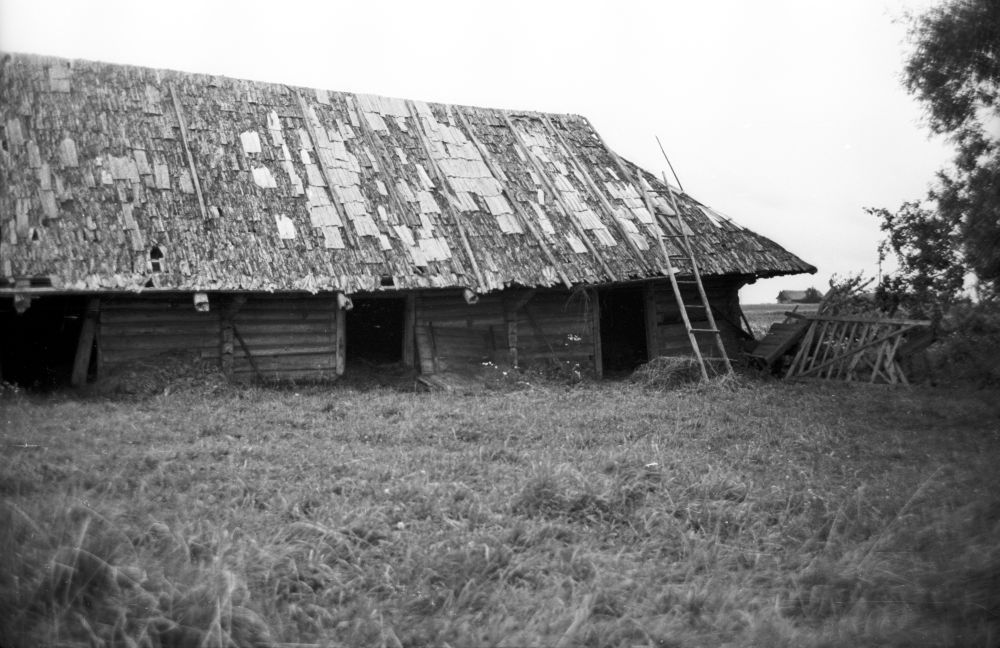 Ait Pöögli (Pöögle) asunduses.