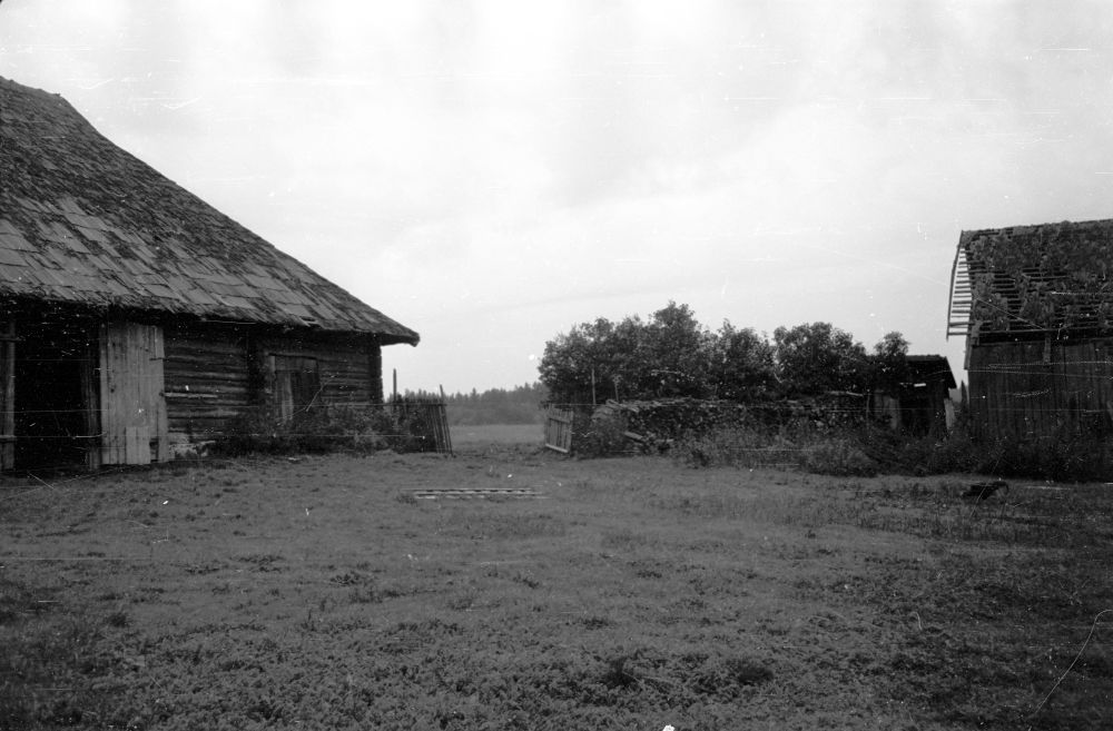 Rähniku talu õu Raja külas.