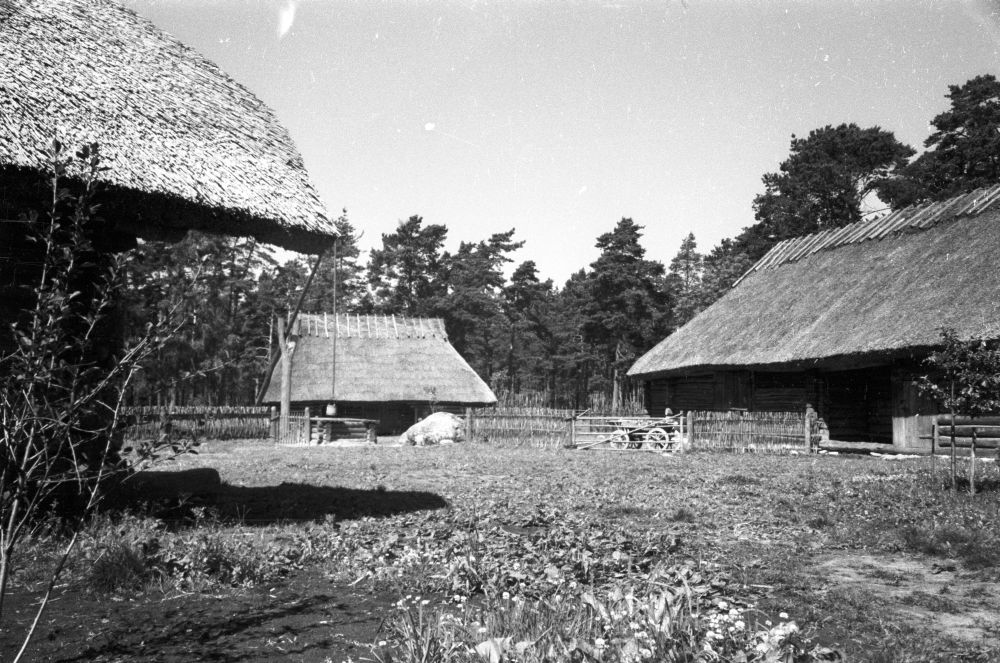 Köstriaseme talu õu.