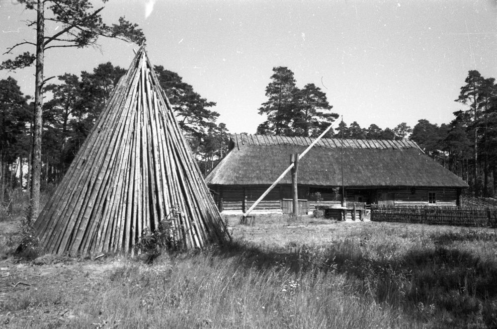 Köstriaseme talu õu.