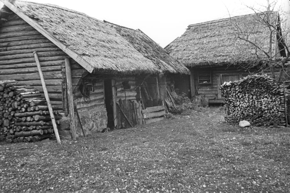 Laut Kuivajõe külas.