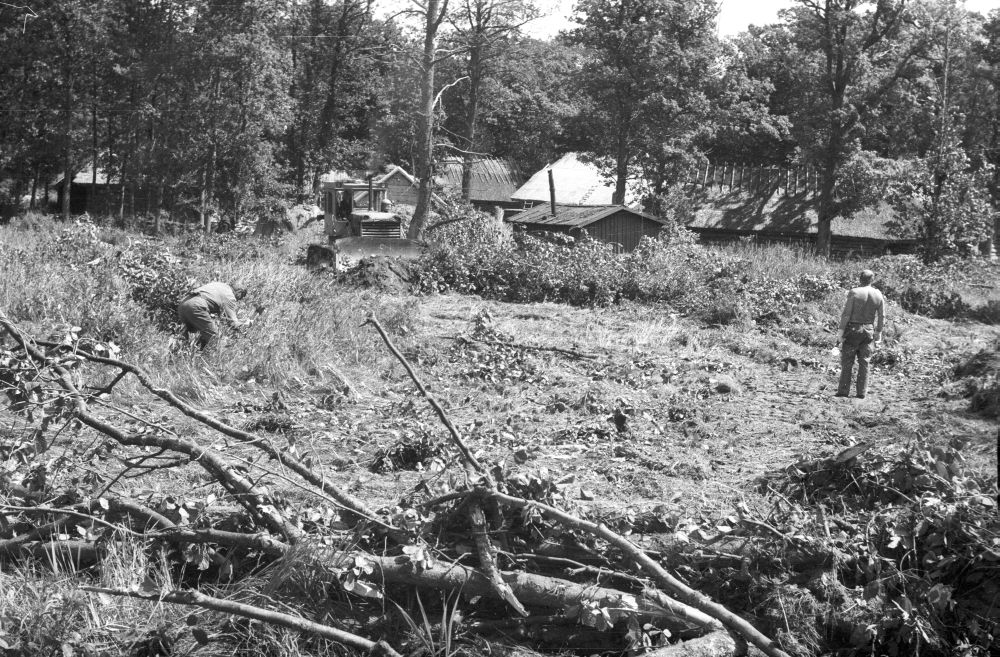 Külaväljaku puhastamine võsast.