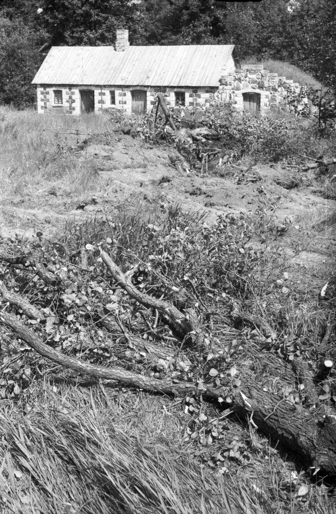 Jüri-Jaagu talu köök-saun-kelder.