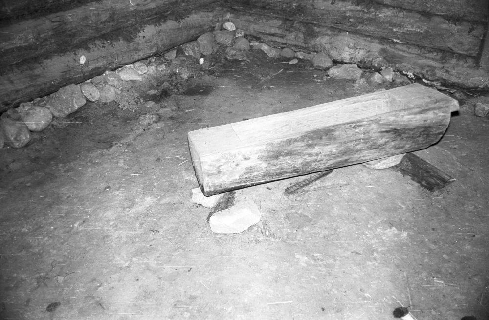 Sassi-Jaani talu sealaut, seasöögiküna.