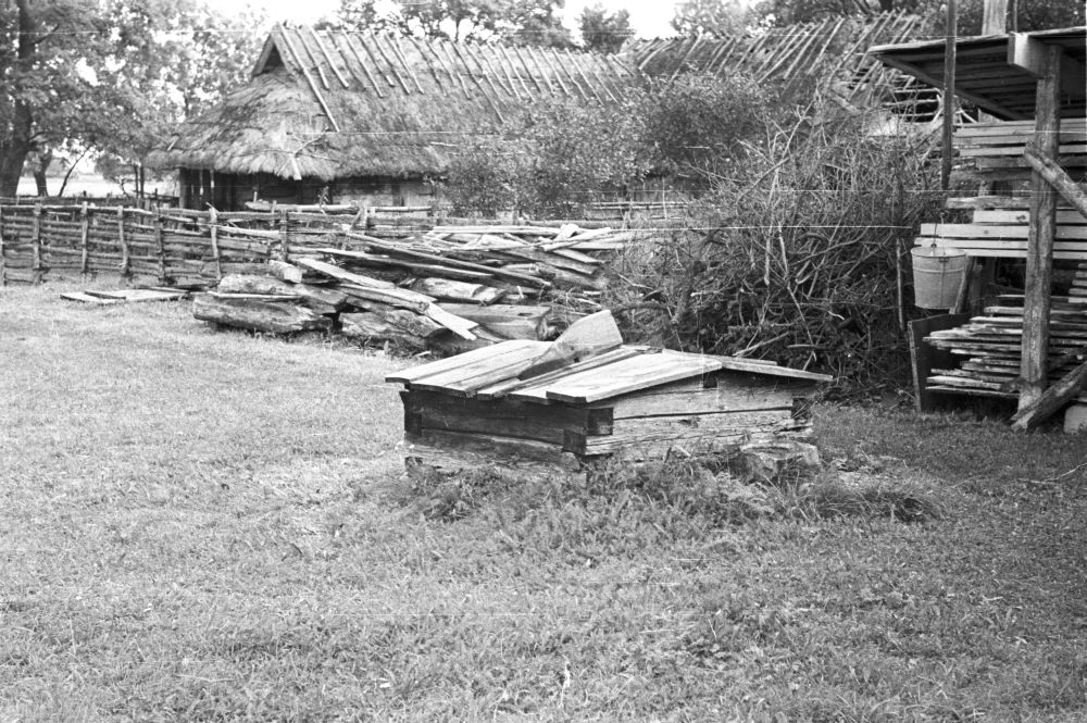 Kulli küla Jaani talu vinnaga kaev.