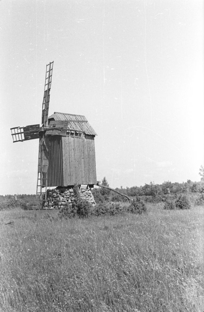 Rahniku küla Annuse talu tuulik.