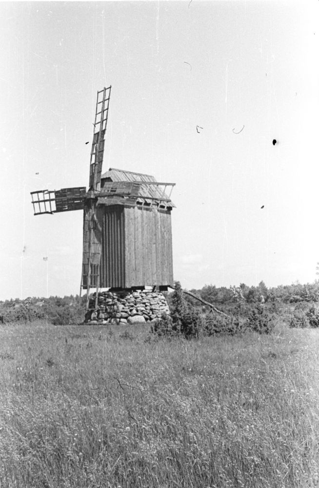 Rahniku küla Annuse talu tuulik.