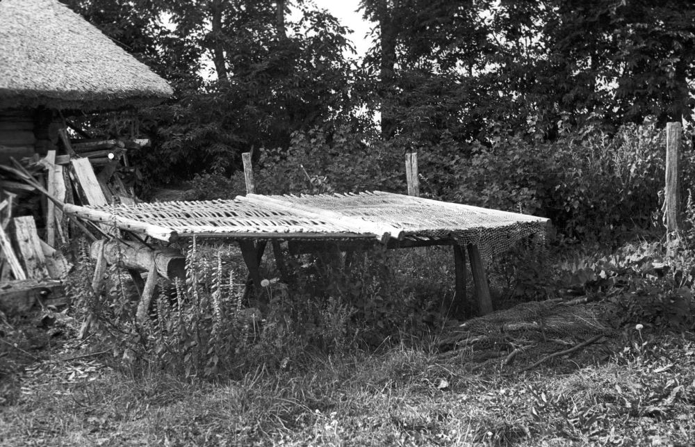 Tari kalade kuivatamiseks.