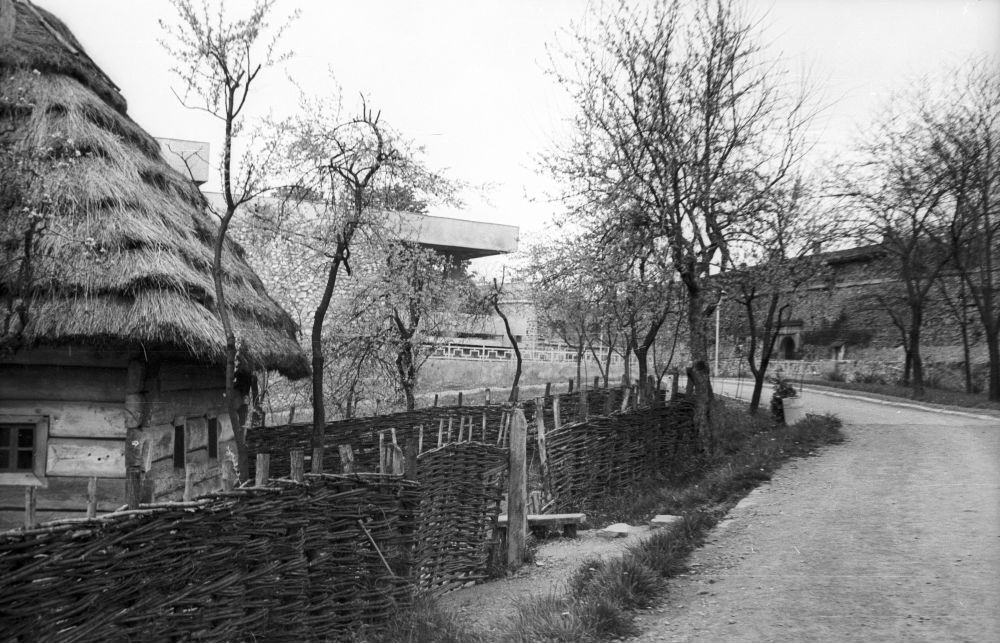Užgorodi vabaõhumuuseum, peatee.