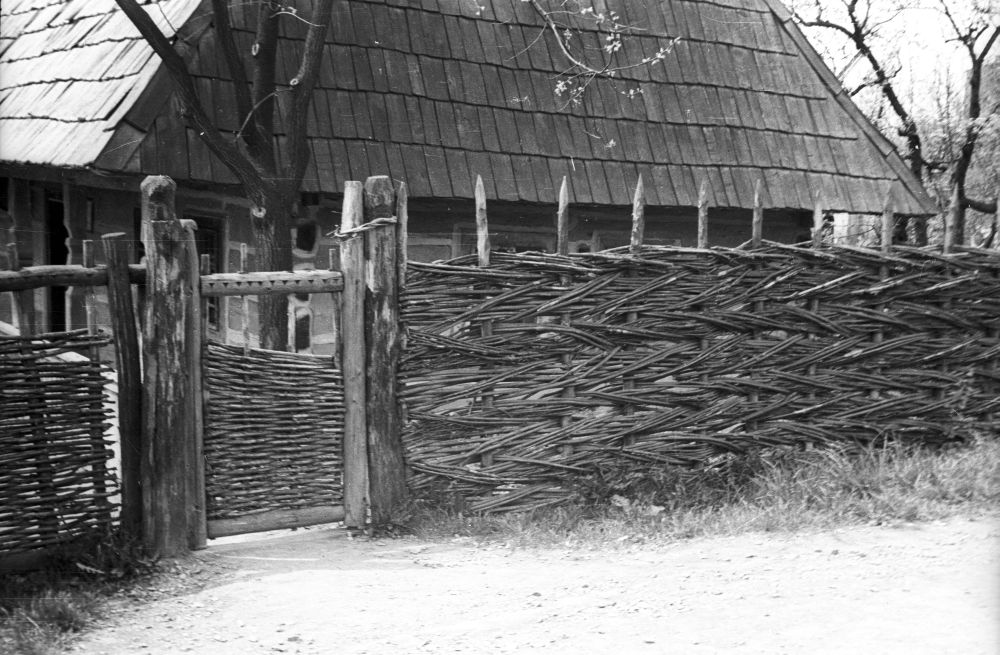 Užgorodi vabaõhumuuseum, Tjatševski rajooni elamut ümbritsev kalasabamustris aed.