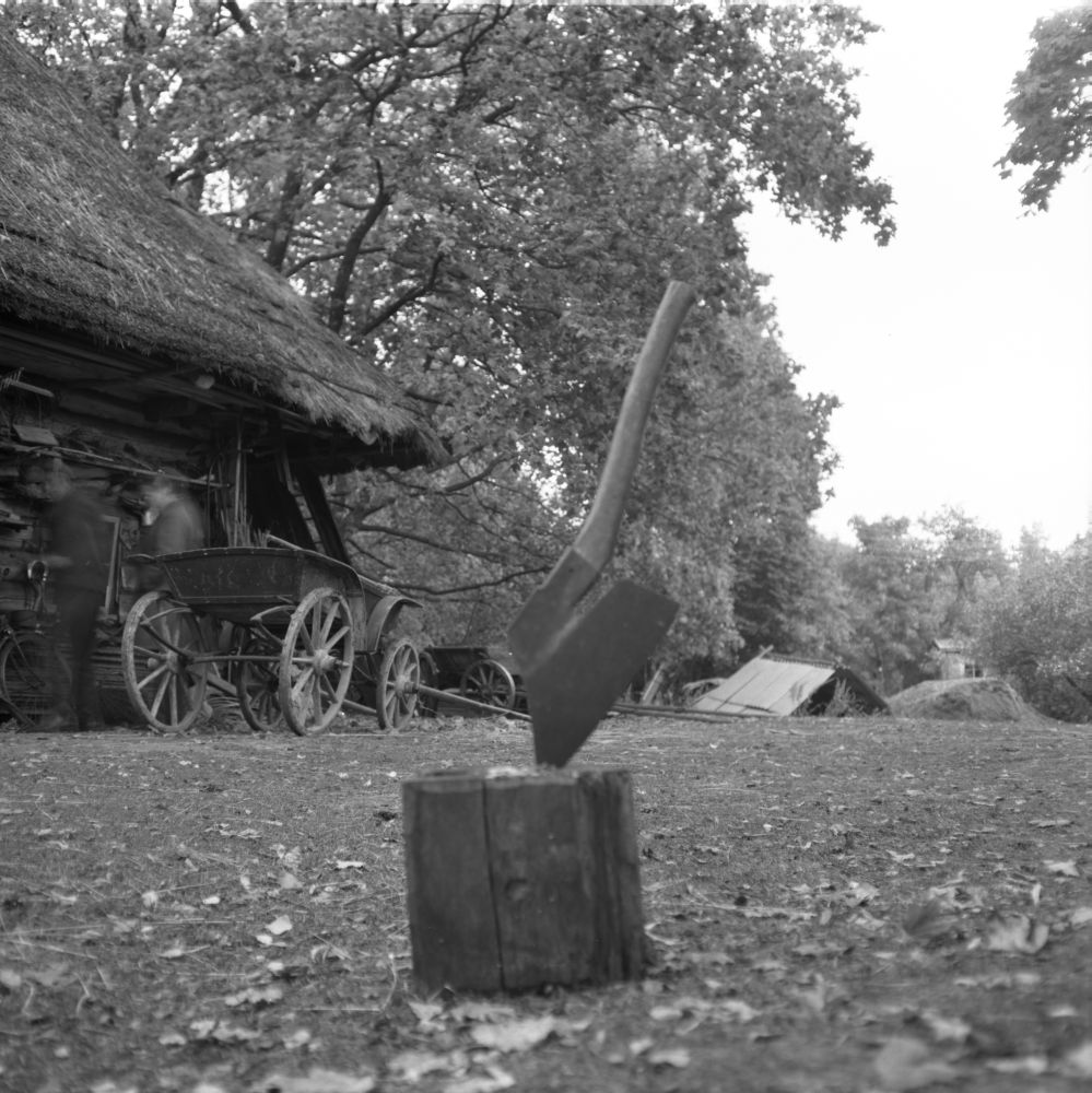 Paku sisse löödud kirves Leeselja talu rehemaja ees.