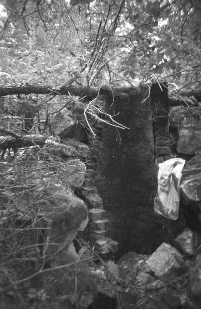 Järise küla Tõrvaku talu tõrvaahi.