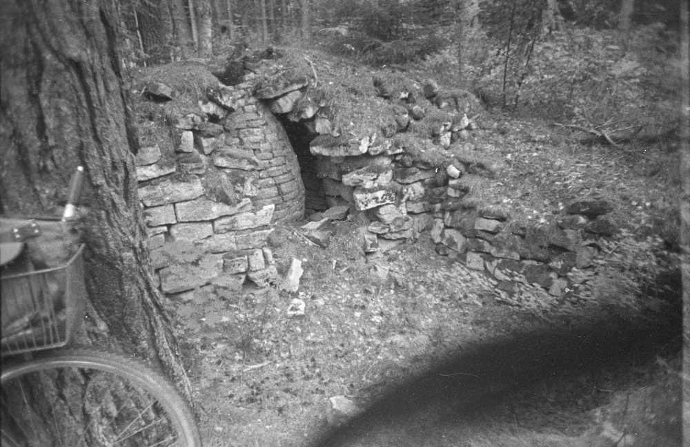 Võhma küla Pangadi talu tõrvaahi.