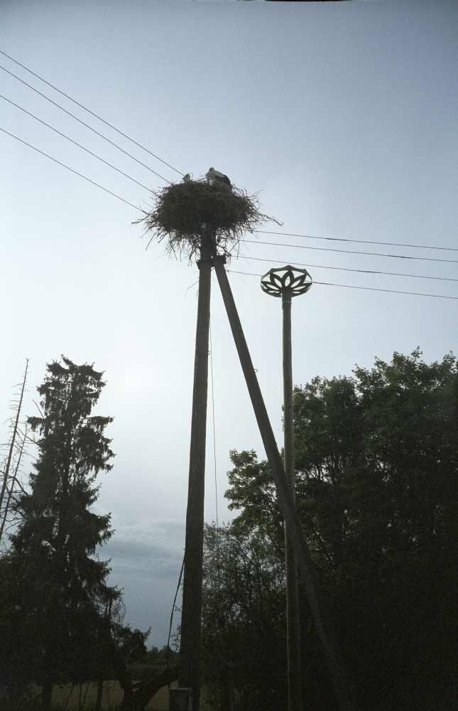Elektriposti kõrvale püstitatud toonekure pesaalus Raigu külas