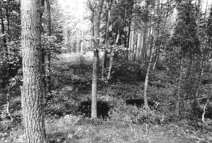 Pelgupaik nr.512 Nõmbas