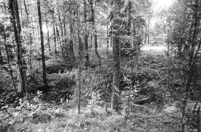 Pelgupaik nr.512 Nõmbas