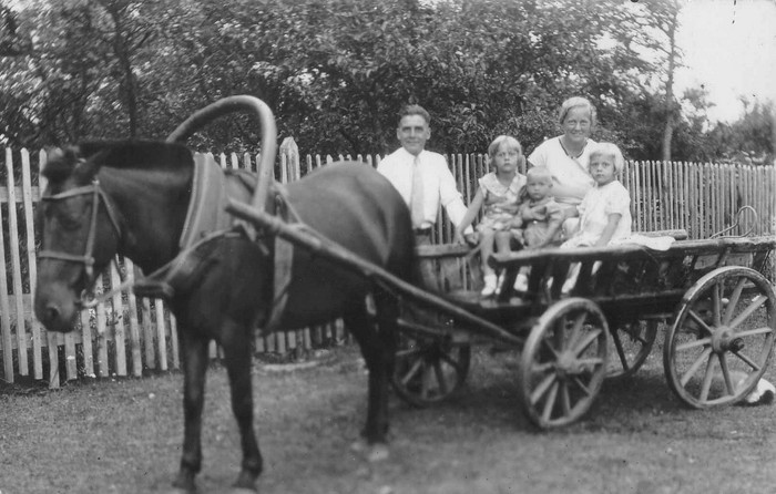 Joosep Leisberg perega hobuvankri juures
