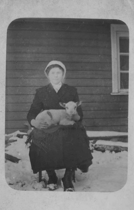 Portreefoto. Naine lambatallega