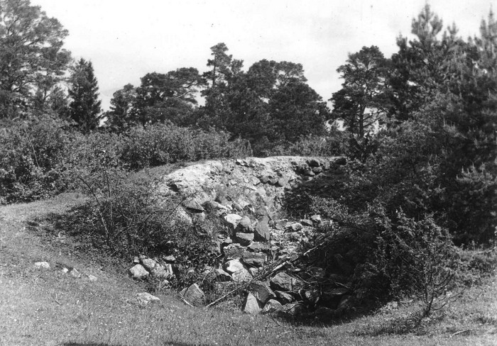 Ninaja ots Kõrgessaares