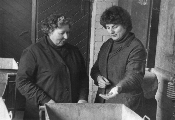 "Sõpruse" kolhoosi Kassari nutriafarmi zootehnikud sööta uurimas.