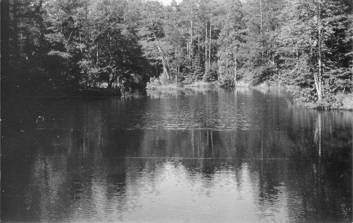 Õngu paisjärv