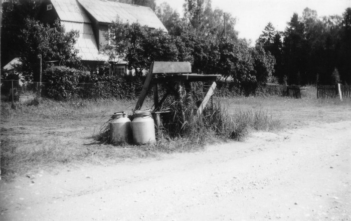 Piimapukk Alfred Kotkase maja juures