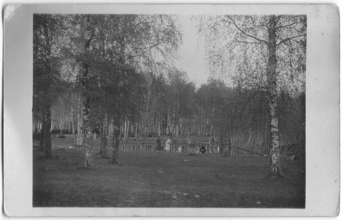 Fotopostkaart. Puisniit Värssu külas