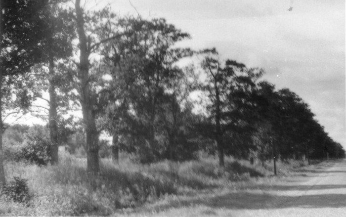 Suuremõisa-Käina maantee Pasti lähedal