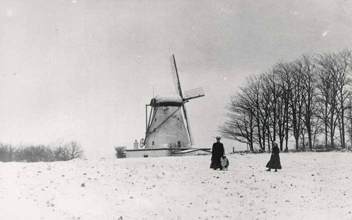 Foto. Vaade mõisa veskile Suuremõisas 20.saj.algul