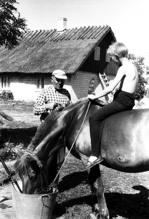 Foto Hobust jootmas Saarnaki laiul