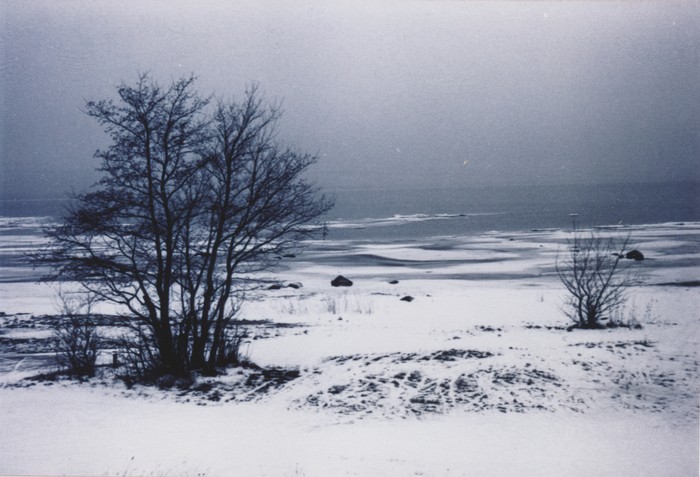 Foto Kärdla rand talvel