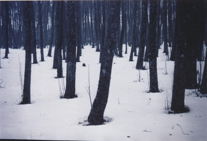 Foto Sanglepad Kärdla rannapargis (rannas)