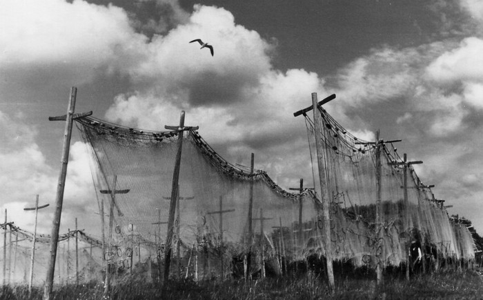 Foto. Kalavõrgud kuivamas-Kärdla kalasadam