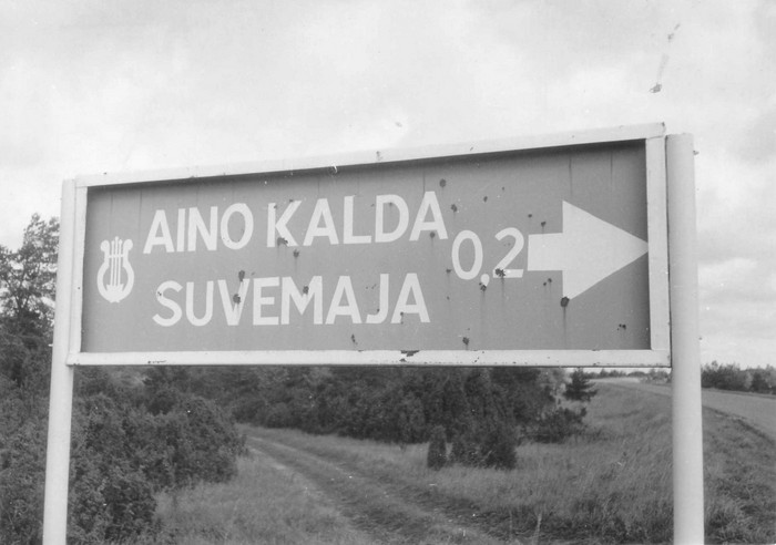 Teeviit: Aino Kalda suvemaja 0,2