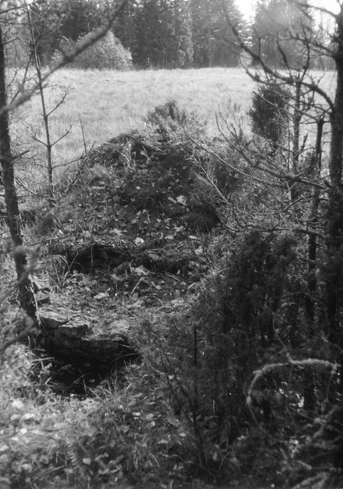 Tõrvapõletusahju varemed Vahtrepa külas