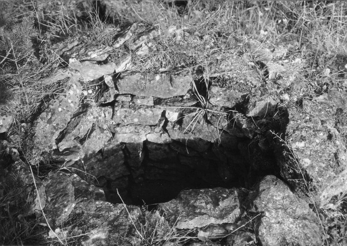 Tõrvapõletusahju varemed Vahtrepa külas