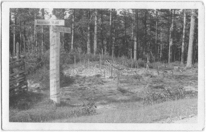 Ristimägi. Esiplaanil valdadevaheline (Kõrgesaar,Suuremõisa) piiritulp