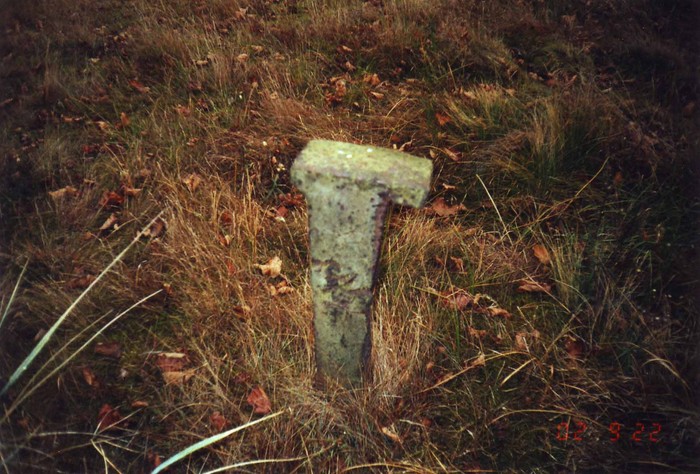 Paope küla Uuepõllu talu õuemurul lähivaates sepikoja vana alasi