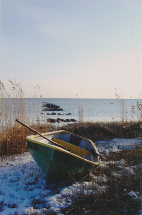 Foto. Vaade Haldi sadama vanale kaile.