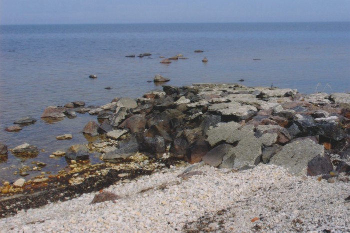 Foto. Hausma lautrikoht.