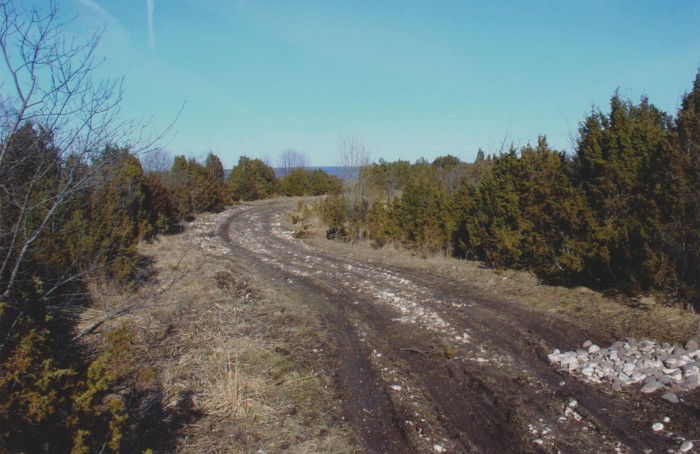 Foto. Hellamaa lautrikoht, vaade teele.